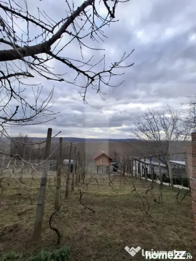 Teren extravilan, 17.300 mp, Stancesti