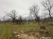 DE VANZARE - Teren strada Miron Costin 