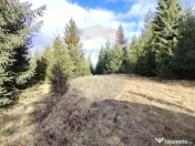 Teren 17,895mp Dorna-Arini / Prelungirea Cozănești 