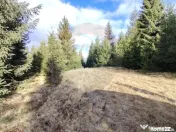 Teren 17,895mp Dorna-Arini / Prelungirea Cozănești 