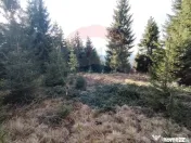 Teren 17,895mp Dorna-Arini / Prelungirea Cozănești 