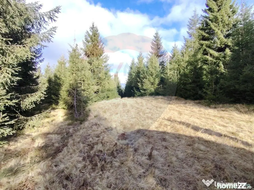 Teren 17,895mp Dorna-Arini / Prelungirea Cozănești