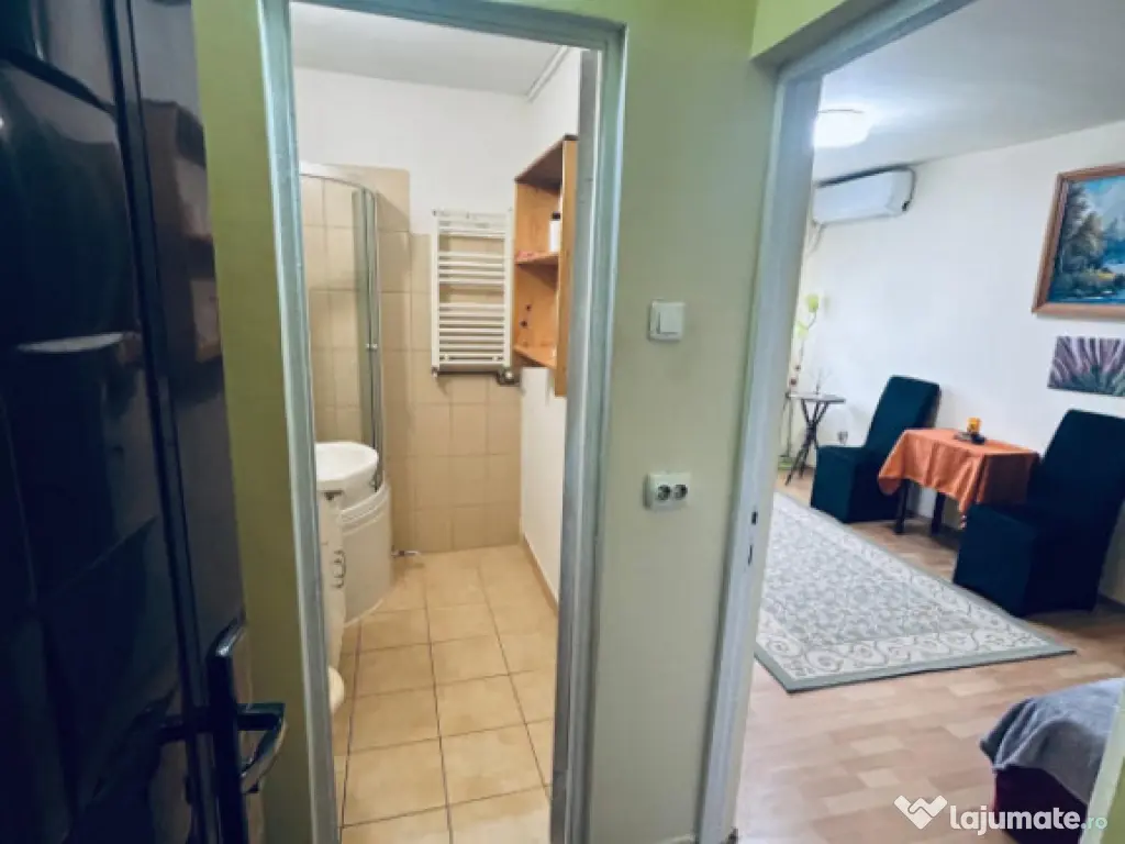 Garsoniera zona Calea Dumbravii