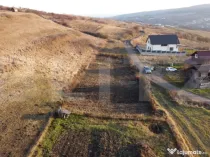 Teren de vanzare - Chinteni