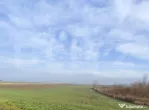 Teren 15000 mp extravilan, Miroslava-Vorovesti, langa zona d