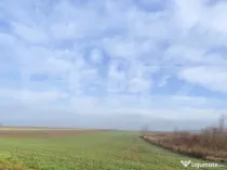 Teren 15000 mp extravilan, Miroslava-Vorovesti, langa zona d