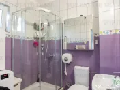 Vila Vatra Luminoasa, Bucuresti 