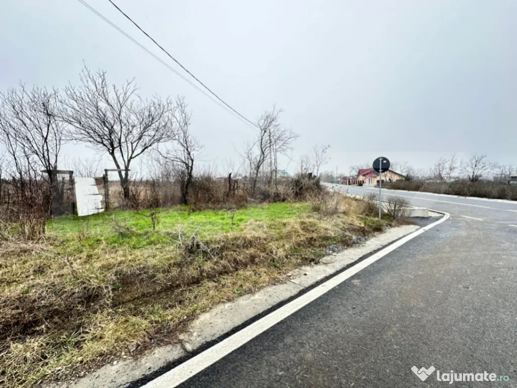 Teren de vanzare, 7200 mp, parcelabil, zona Bogdanesti