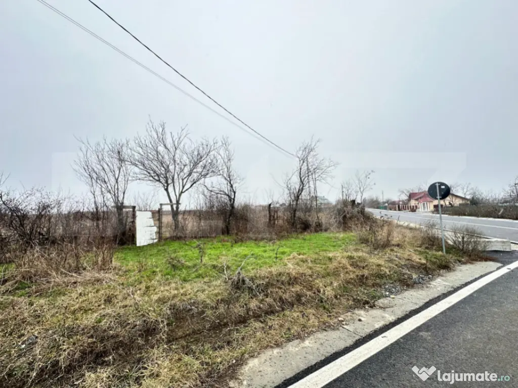 Teren de vanzare, 7200 mp, parcelabil, zona Bogdanesti