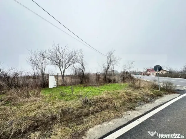 Teren de vanzare, 7200 mp, parcelabil, zona Bogdanesti - Iasi (Iasi)