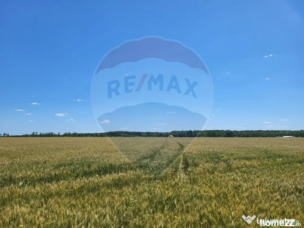 Teren intravilan 4,100 mp, fs 18 ml si 2222 mp fs 16 ml P...