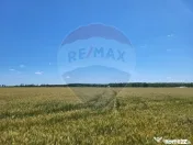 Teren intravilan 4,100 mp, fs 18 ml si 2222 mp fs 16 ml P... 