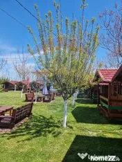 Afacere la cheie – Complex turistic cu 21 de căsuțe d...
