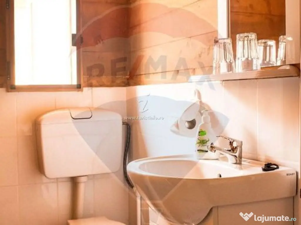 Afacere la cheie – Complex turistic cu 21 de căsuțe d...