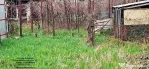 Teren intravilan Piatra Neamt, zona Centrul Scolar"Alexandru Rosca"