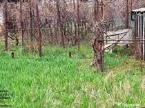 Teren intravilan Piatra Neamt, zona Centrul Scolar"Alexandru Rosca"