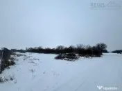 TEREN INTRAVILAN GENEROS, SANPETRU, BRASOV 