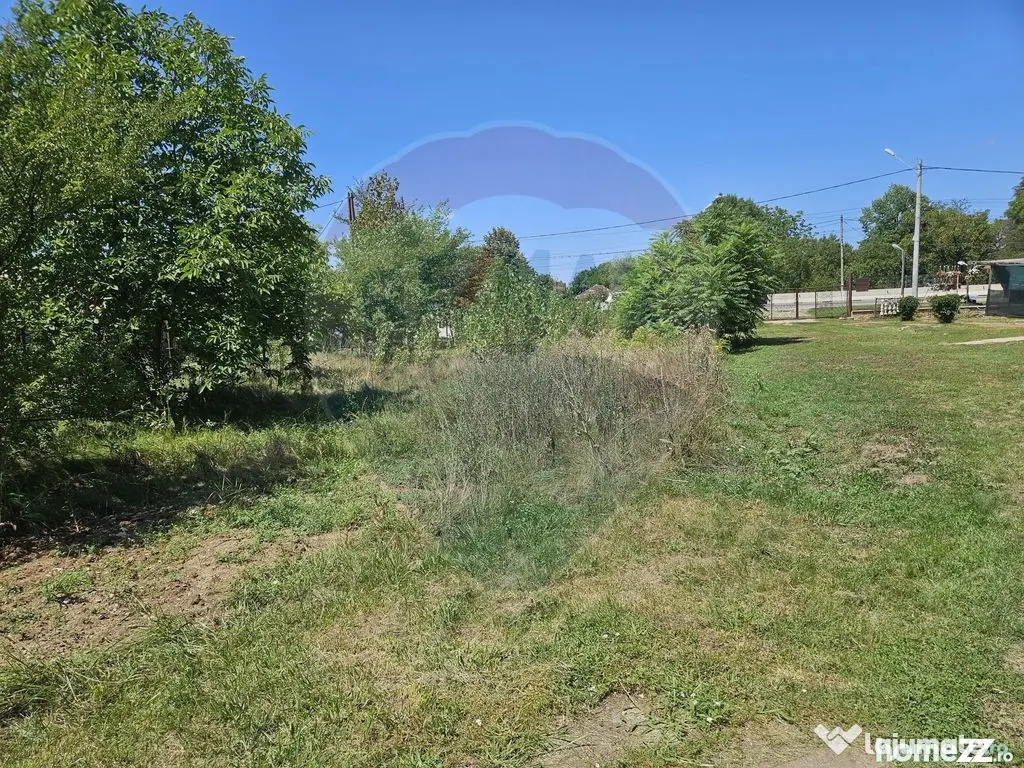 Vanzare Teren 813 mp Ciolpani / Soseaua DN1