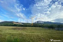 Teren intravilan 13 820 mp, cu acces pe un drum asfaltat, re