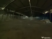 Spatiu industrial pentru depozitare sau productie DATA CEN 