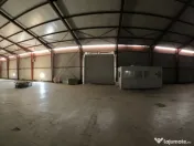 Spatiu industrial pentru depozitare sau productie DATA CEN 