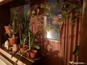 2 camere Berceni Piata Sudului Scoala de Politie 2 min me... 