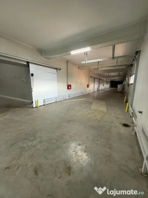Depozit frigorific de închiriat – 1.040 mp | Temperatură