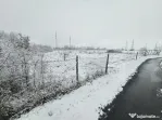 Teren intravilan, 5876 mp, zona Ronat Timisoara