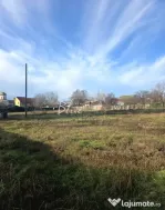 Teren cu potențial ridicat de dezvoltare in Zona KM 4-5