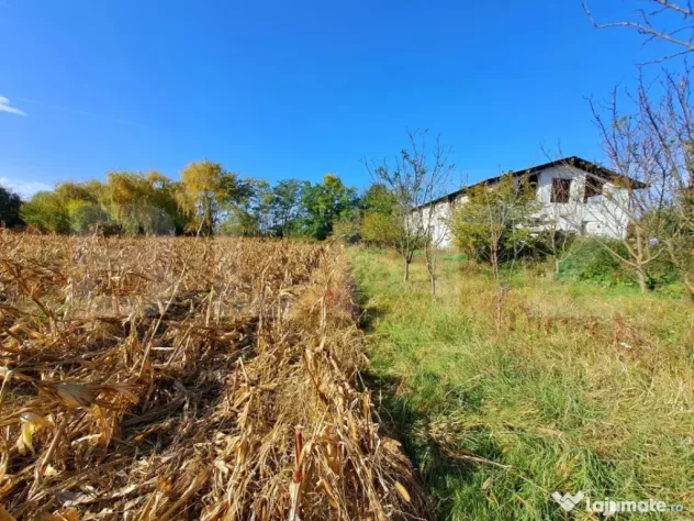 Teren intravilan de 18927 mp, Hala P+1 250 mp, Ocna Mures