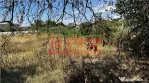 NOU PE PIATA! Teren 2345mp, D=77ml, Zona Banului