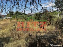 NOU PE PIATA! Teren 2345mp, D=77ml, Zona Banului