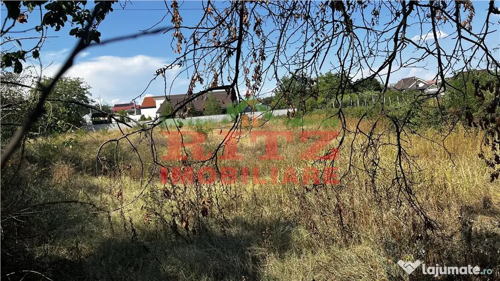 NOU PE PIATA! Teren 2345mp, D=77ml, Zona Banului