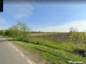 Teren Branesti 1016 mp - intre padure si A2 - Comision 0% 