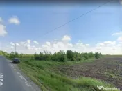 Teren Branesti 1016 mp - intre padure si A2 - Comision 0% 