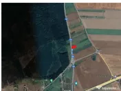 Teren Branesti 1016 mp - intre padure si A2 - Comision 0% 