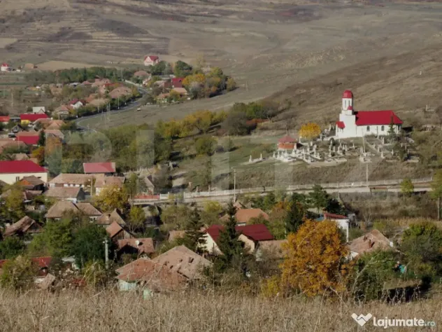 Teren intravilan 20% - extravilan 80% de vanzare 5800 mp, co