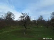 Moșia boierească din vârf de deal, Scorțeni - Prahova 