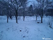 Moșia boierească din vârf de deal, Scorțeni - Prahova 