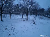 Moșia boierească din vârf de deal, Scorțeni - Prahova 