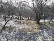 Moșia boierească din vârf de deal, Scorțeni - Prahova 