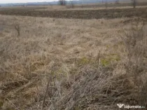 5556 M2 teren cu 1739 m2 construibili  3817m2 la 0.5 e/m2 la 7 km de Targoviste