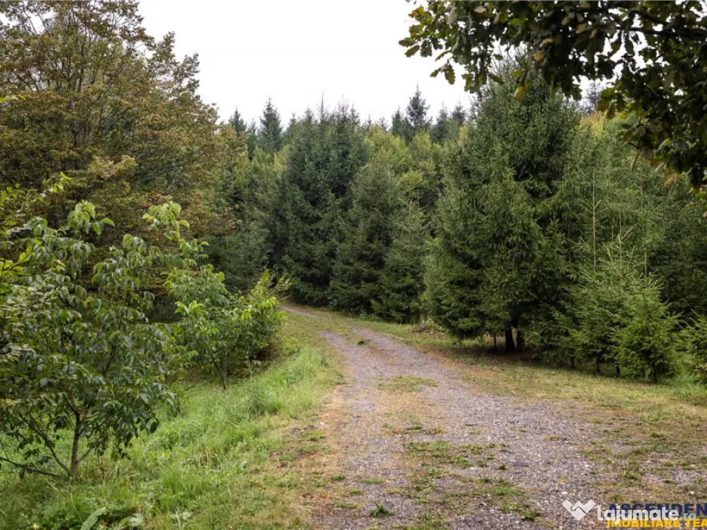 OFERTA REZERVATA!!Refugiu montan,cu 2100 mp domeniu verde,ar