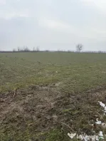 Teren de 9000mp, la intrarea in Filiasi ,la 300m de str. Rac
