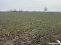 Teren de 9000mp, la intrarea in Filiasi ,la 300m de str. Rac