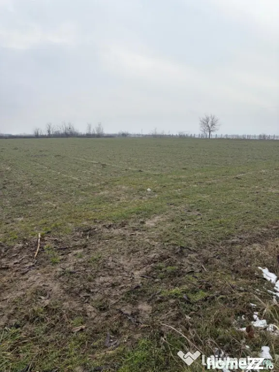 Teren de 9000mp, la intrarea in Filiasi ,la 300m de str. Rac