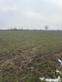 Teren de 9000mp, la intrarea in Filiasi ,la 300m de str. Rac
