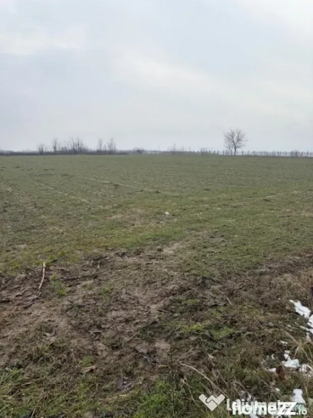 Teren de 9000mp, la intrarea in Filiasi ,la 300m de str. Rac