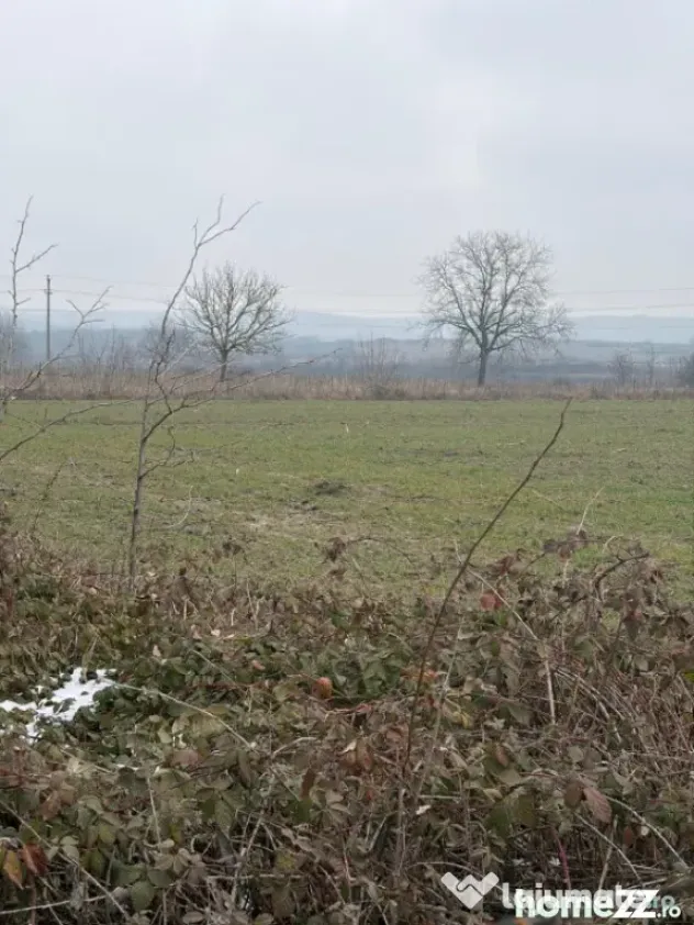 Teren de 9000mp, la intrarea in Filiasi ,la 300m de str. Rac