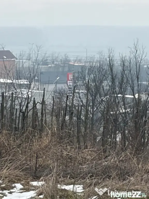 Teren de 9000mp, la intrarea in Filiasi ,la 300m de str. Rac